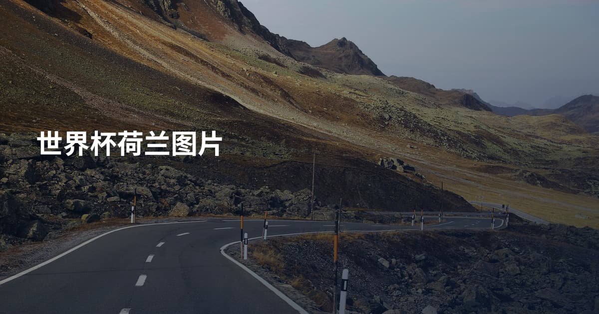 世界杯荷兰图片