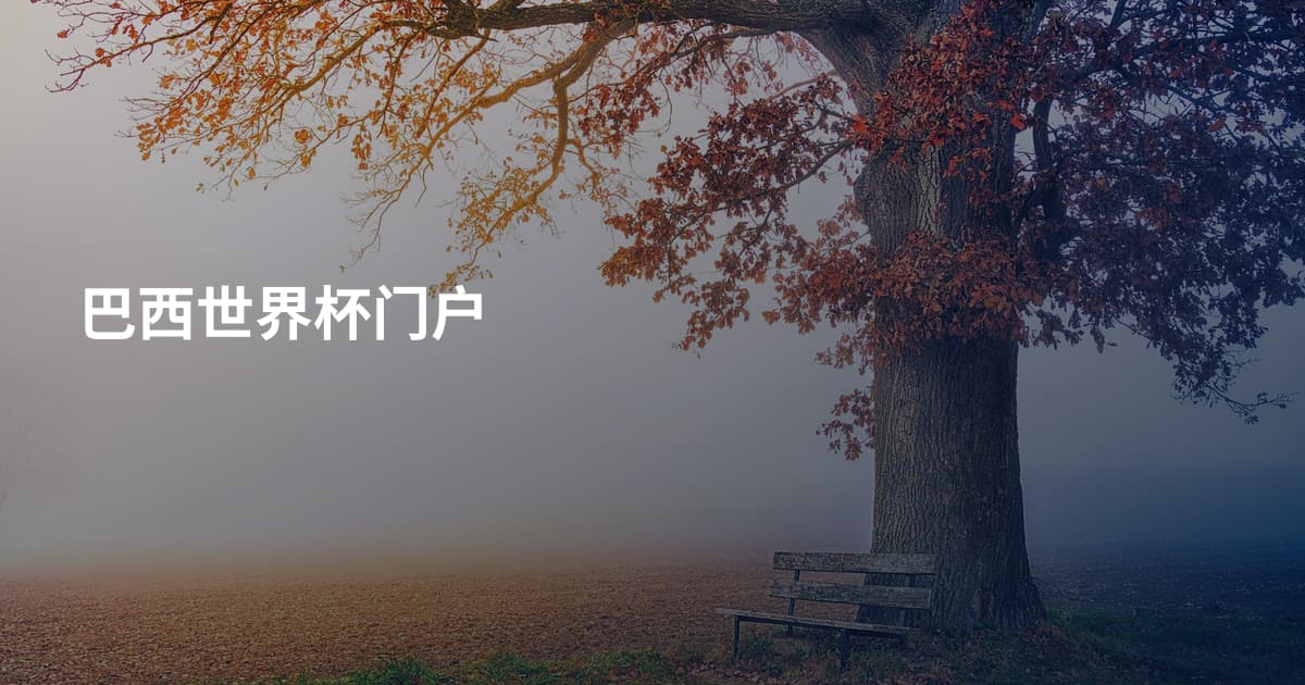 巴西世界杯门户