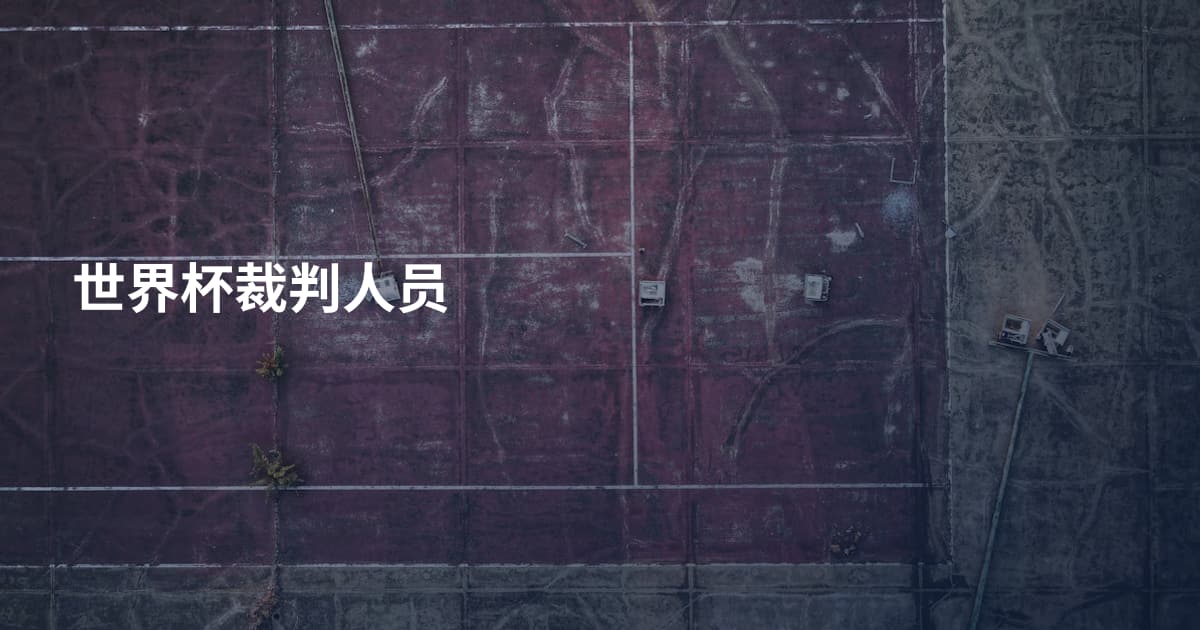世界杯裁判人员