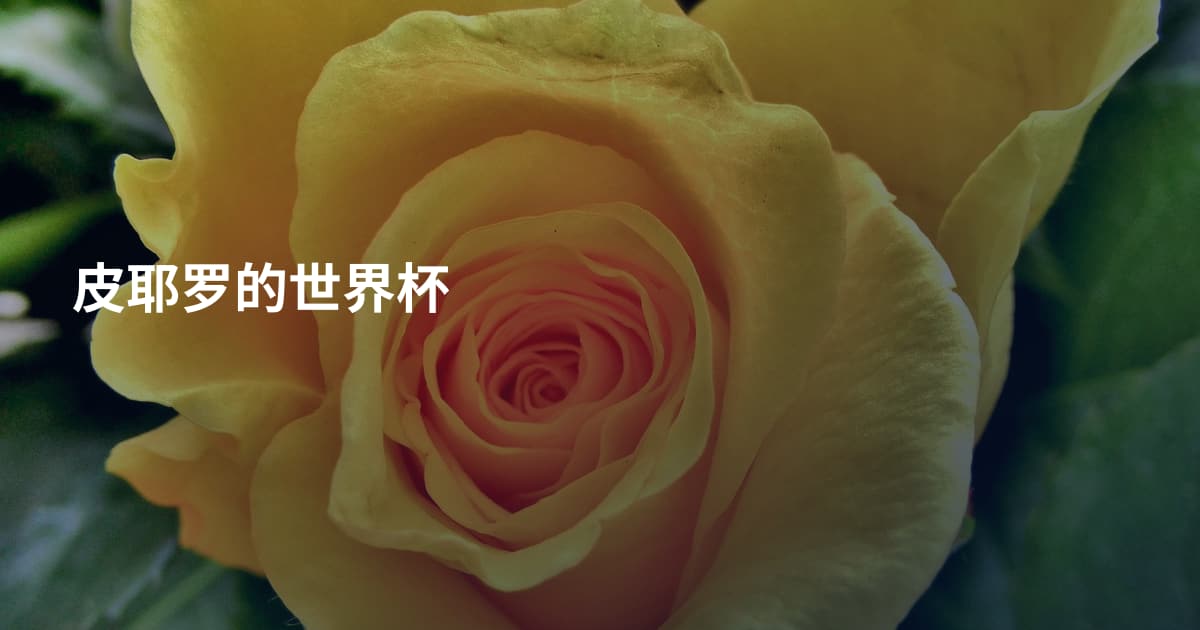 皮耶罗的世界杯