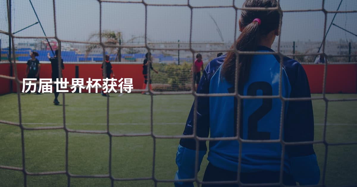 历届世界杯获得