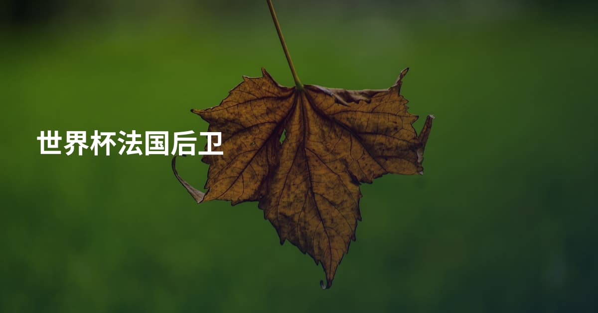 世界杯法国后卫