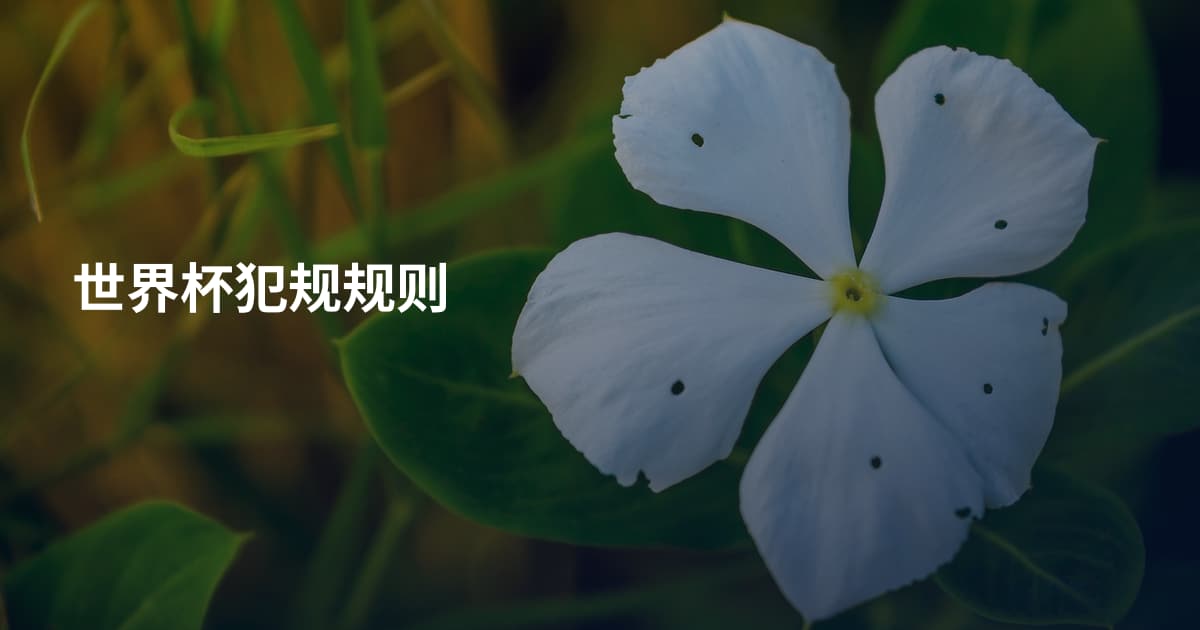 世界杯犯规规则