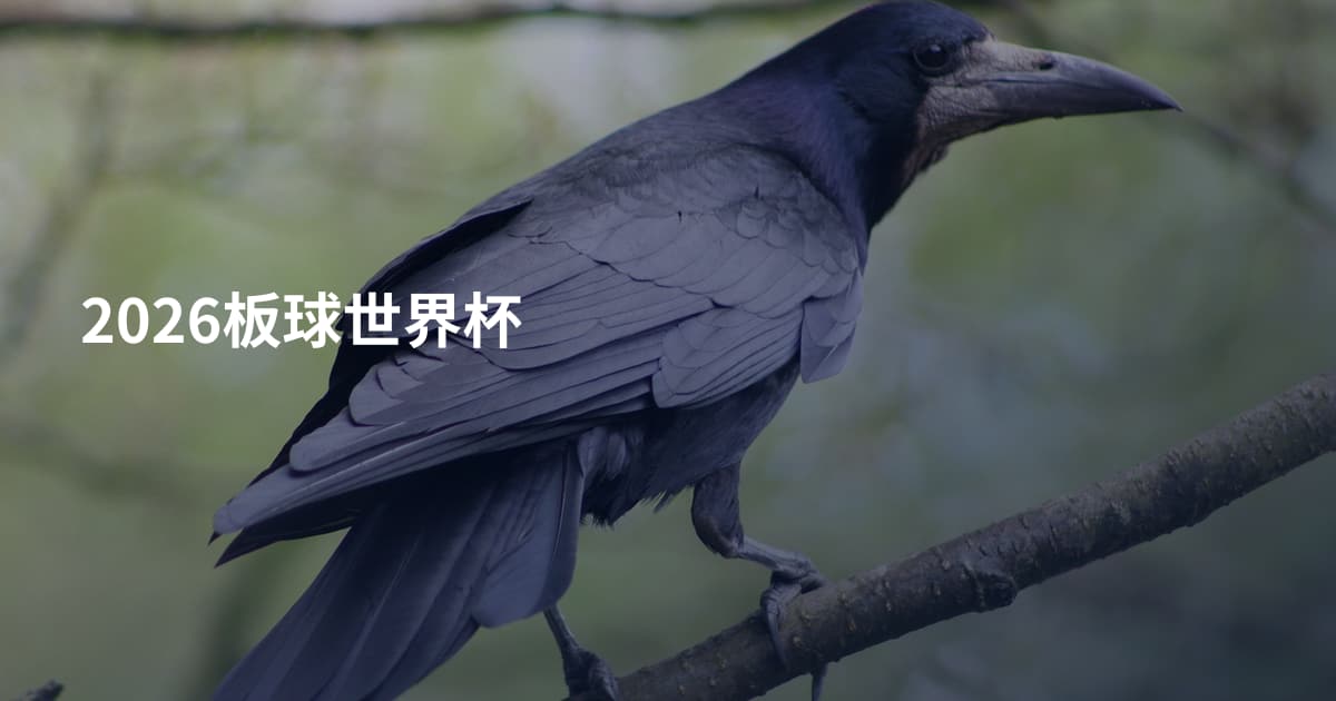 2026板球世界杯
