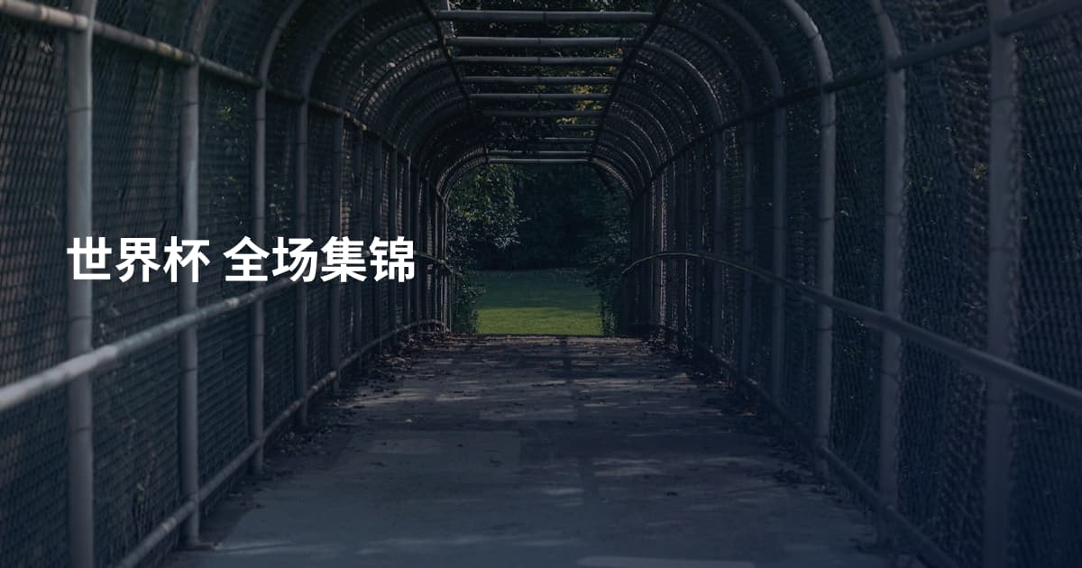 世界杯 全场集锦