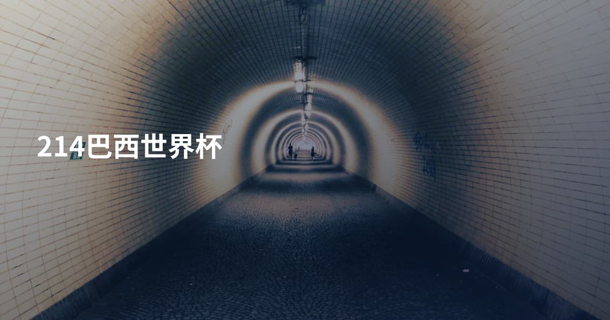 214巴西世界杯
