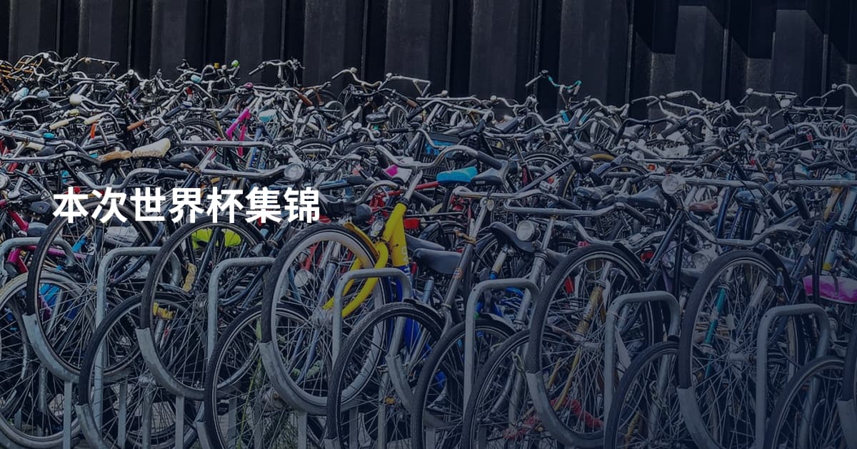 本次世界杯集锦