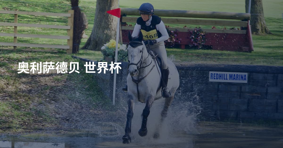 奥利萨德贝 世界杯