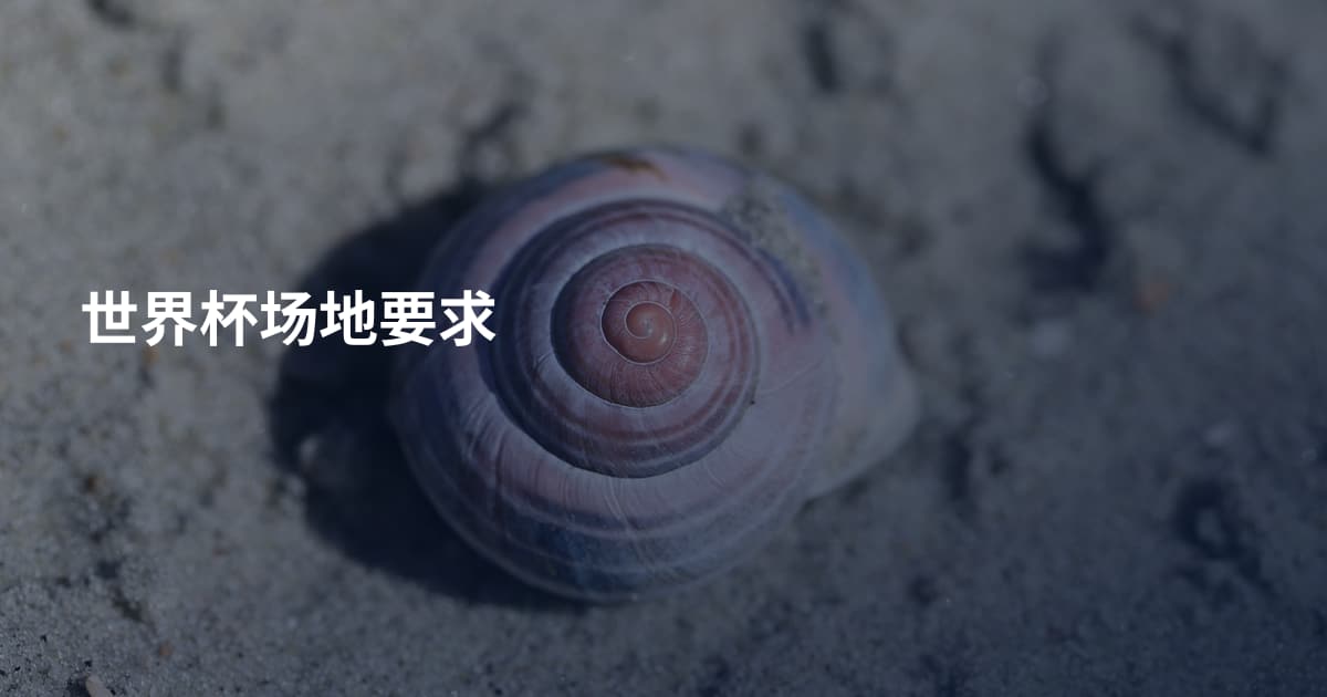世界杯场地要求