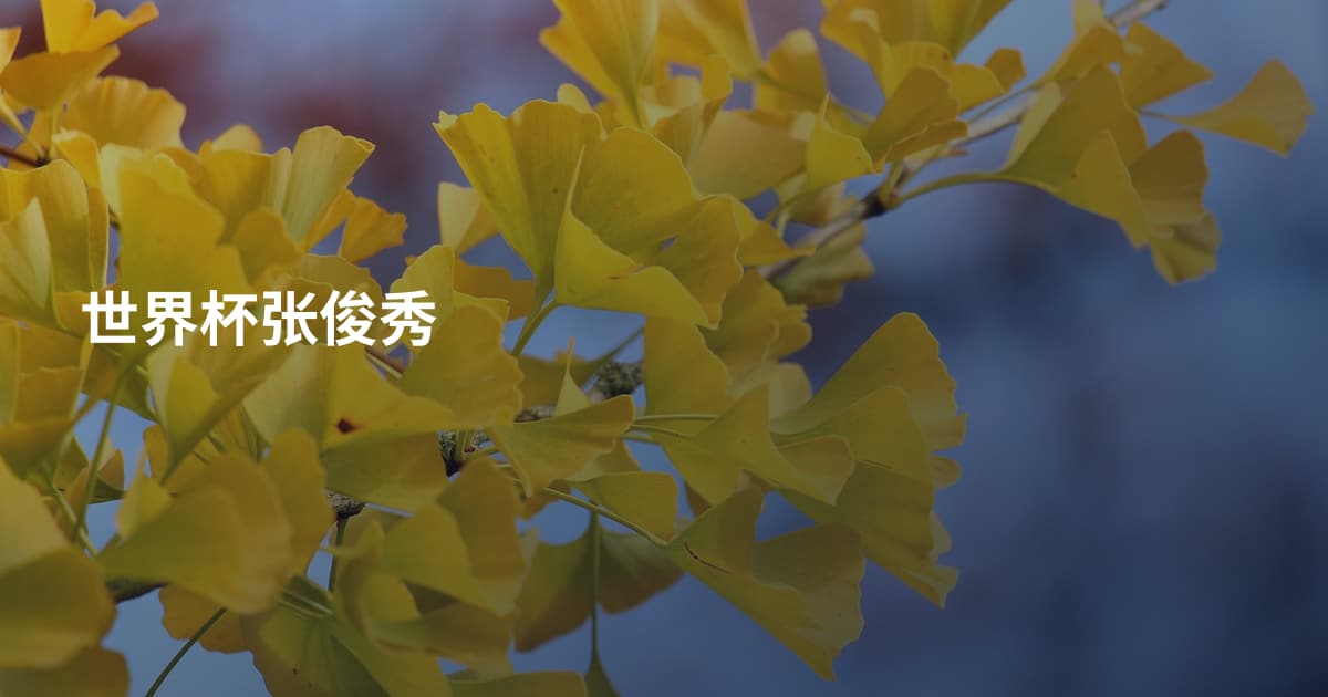 世界杯张俊秀