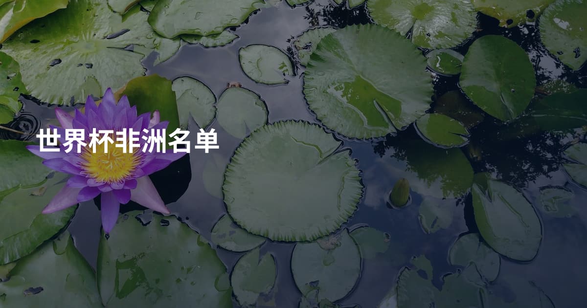 世界杯非洲名单