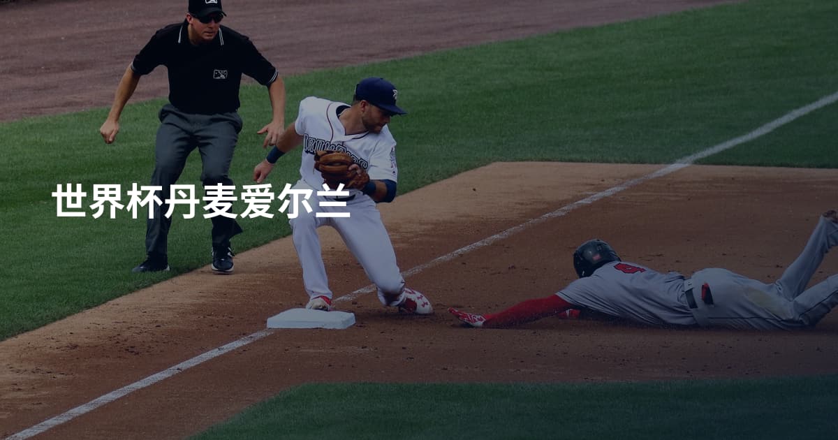 世界杯丹麦爱尔兰