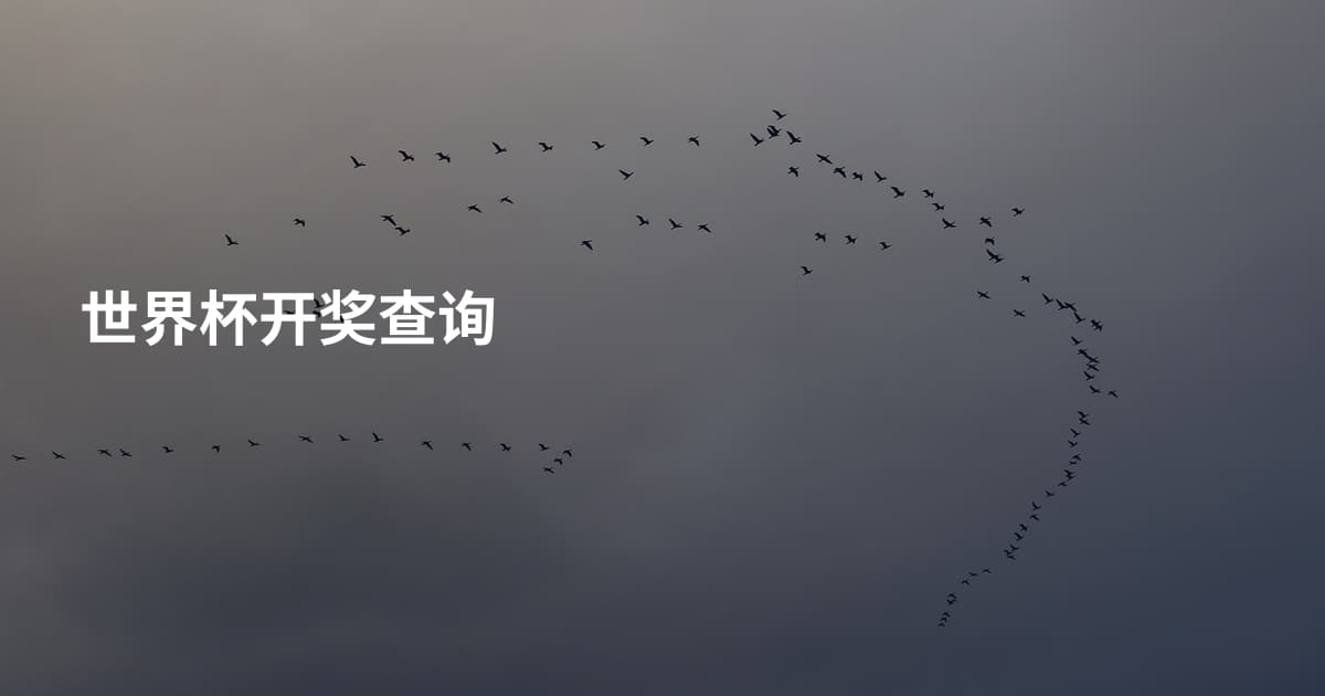 世界杯开奖查询
