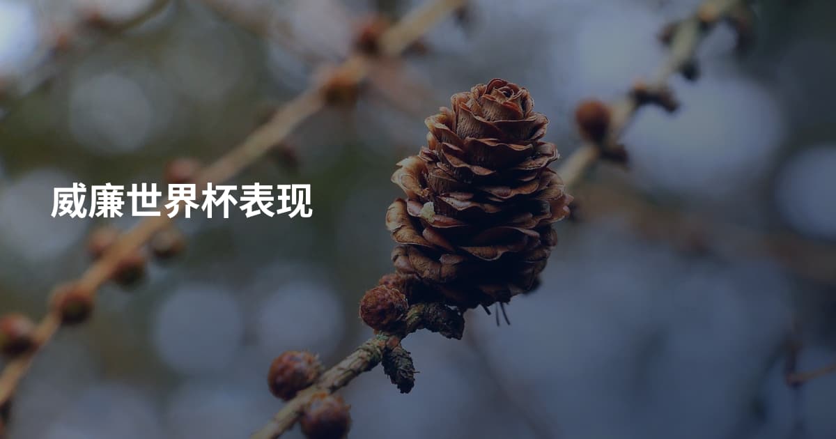 威廉世界杯表现