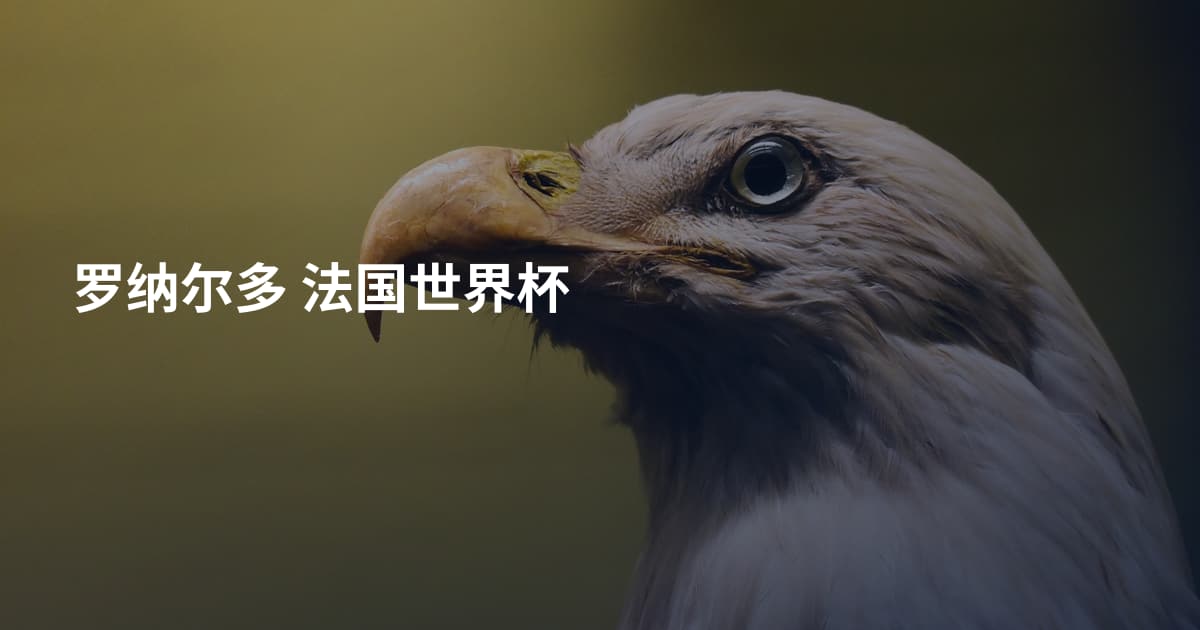 罗纳尔多 法国世界杯