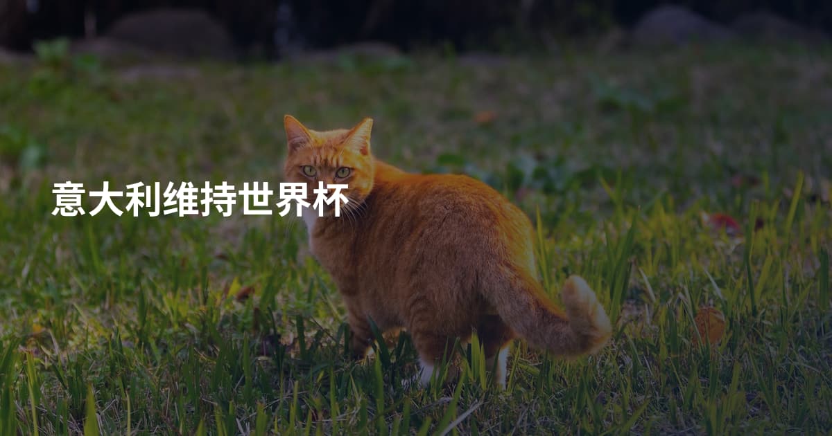 意大利维持世界杯