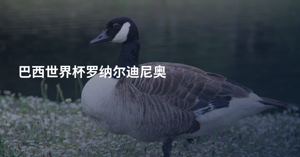 巴西世界杯罗纳尔迪尼奥