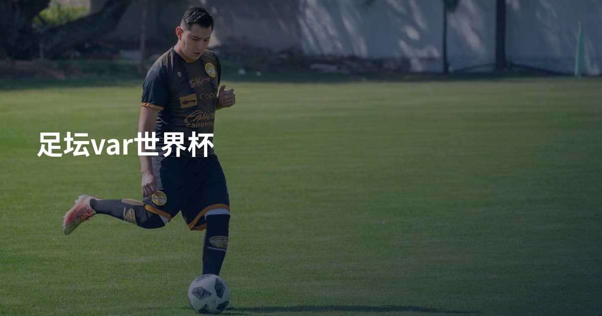足坛var世界杯