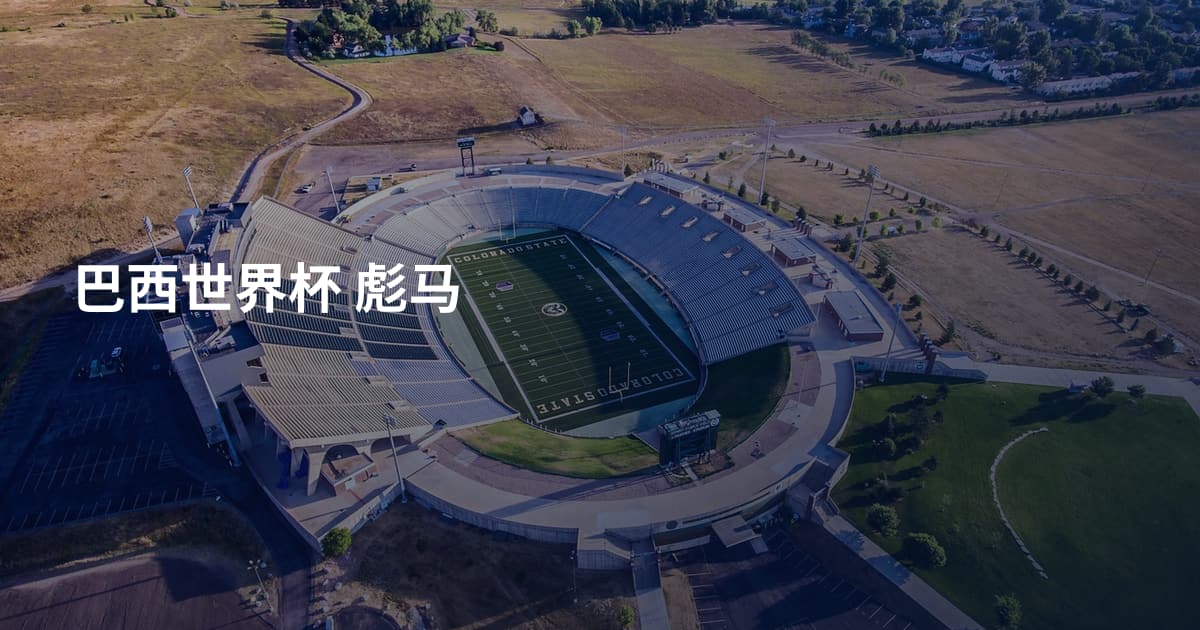 巴西世界杯 彪马
