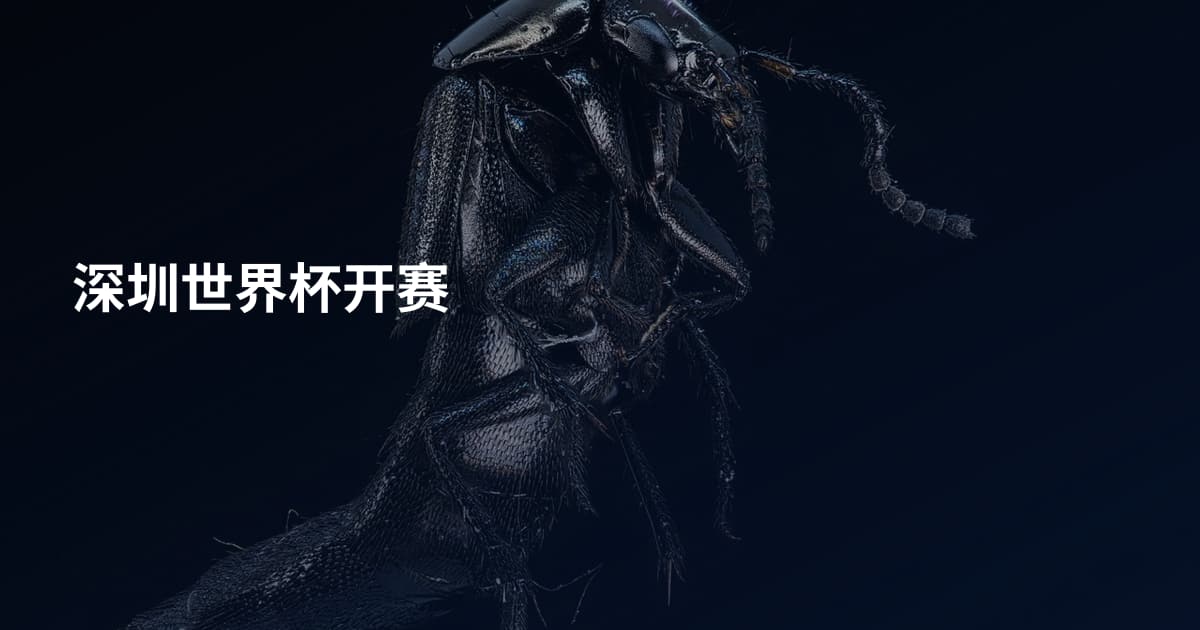 深圳世界杯开赛