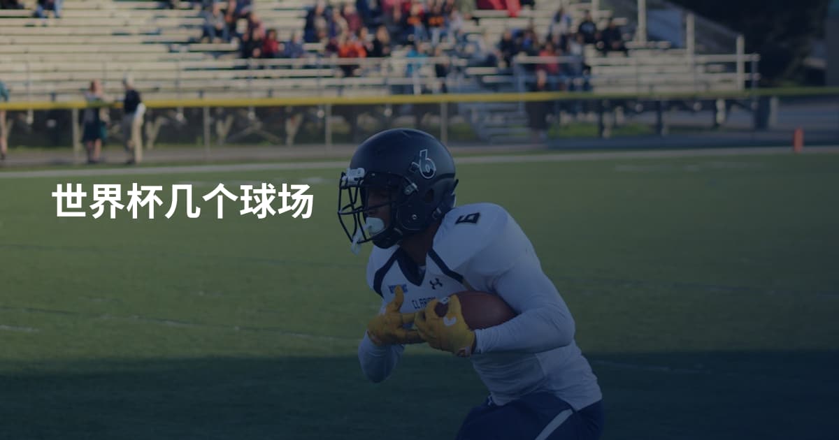 世界杯几个球场