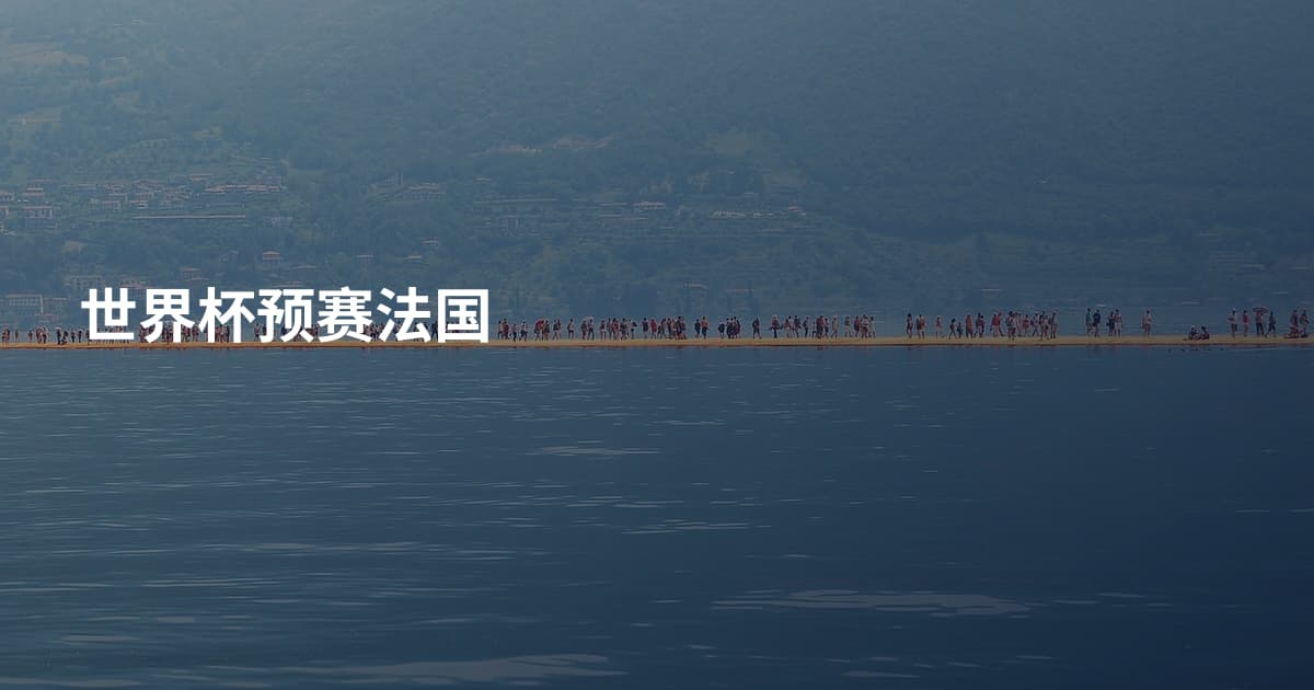 世界杯预赛法国