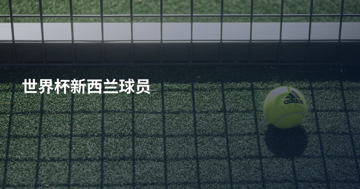 世界杯新西兰球员