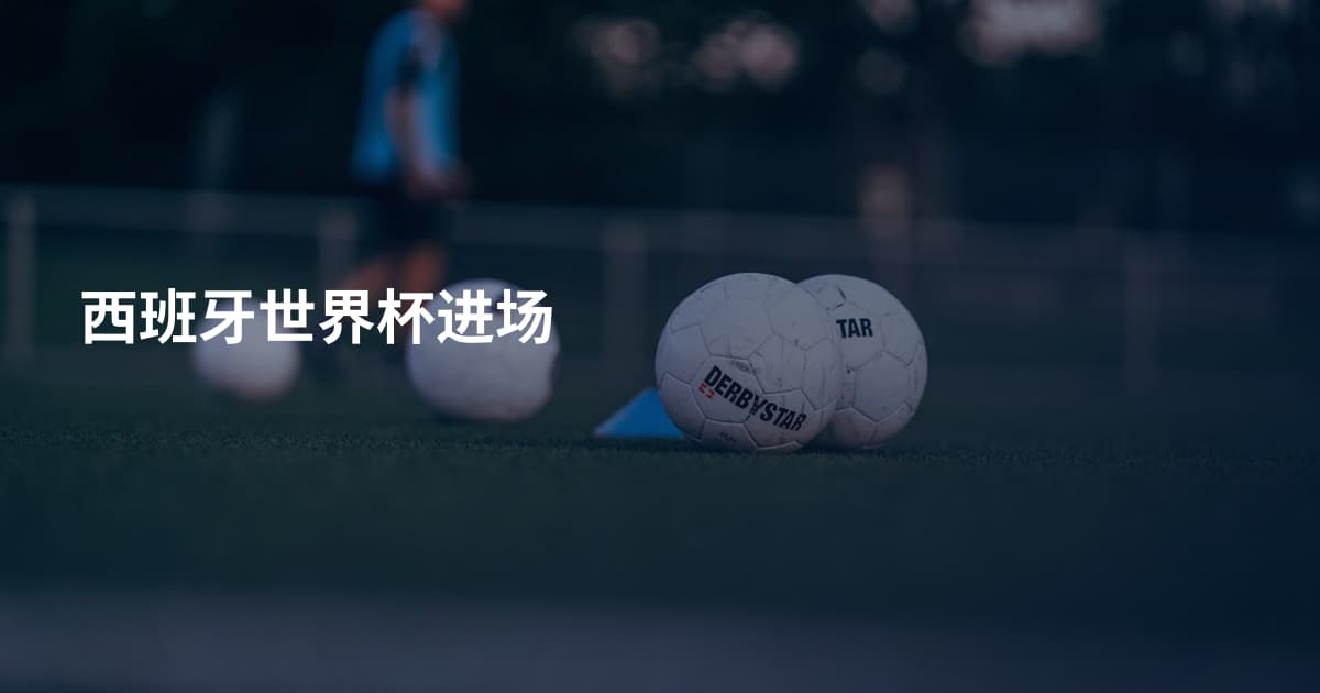 西班牙世界杯进场