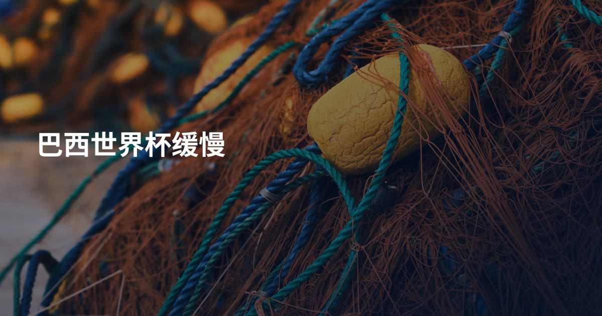 巴西世界杯缓慢