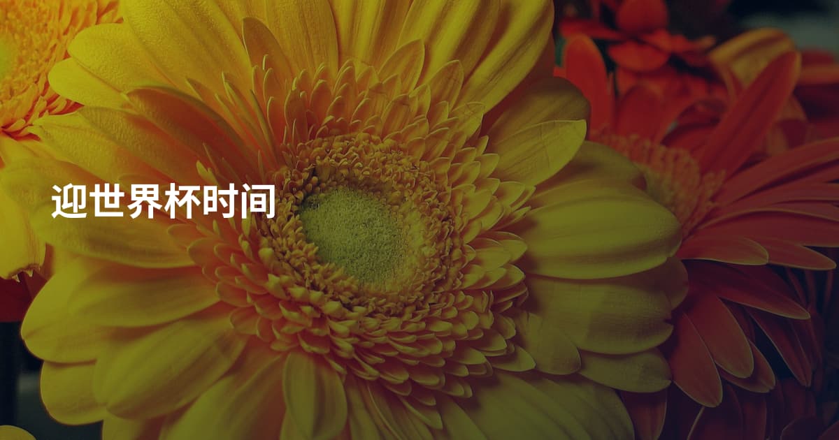 迎世界杯时间