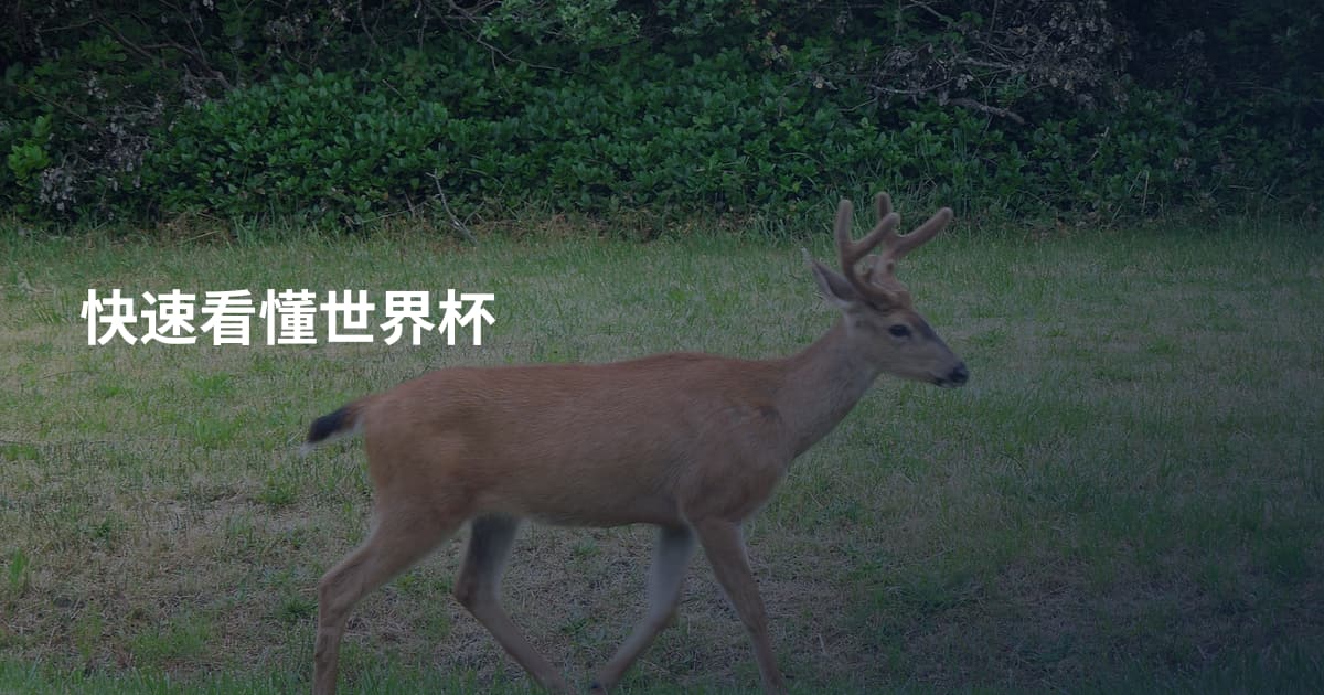 快速看懂世界杯