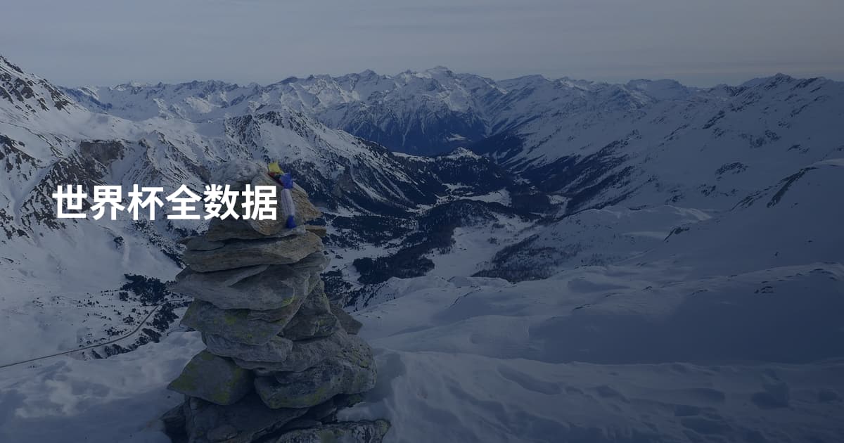 世界杯全数据
