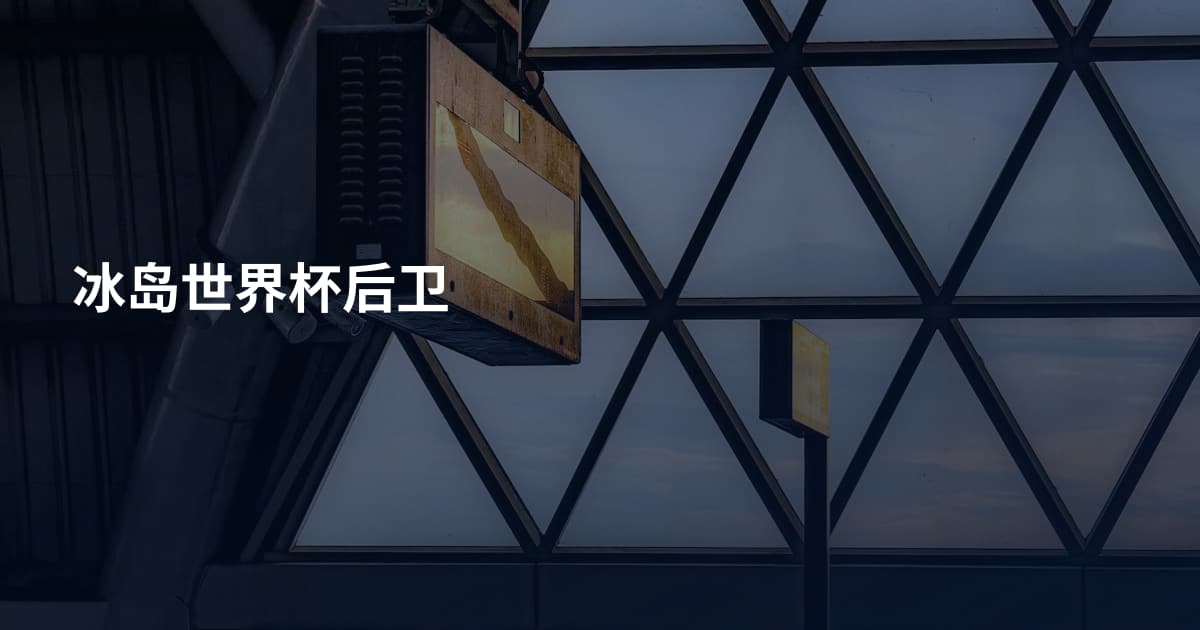 冰岛世界杯后卫