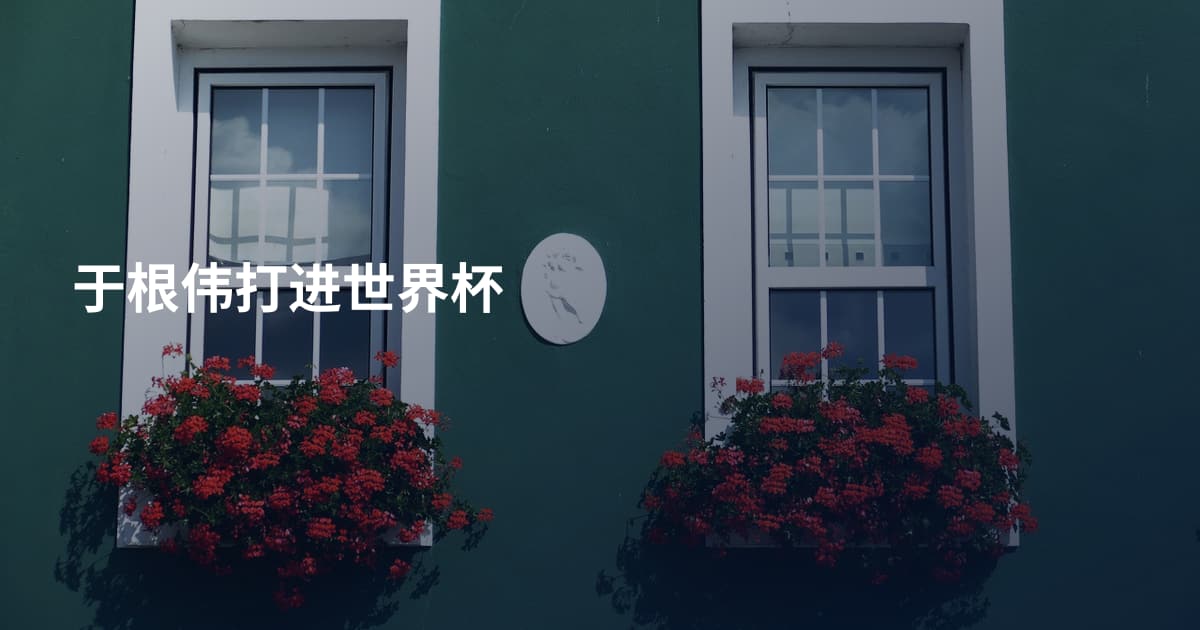 于根伟打进世界杯