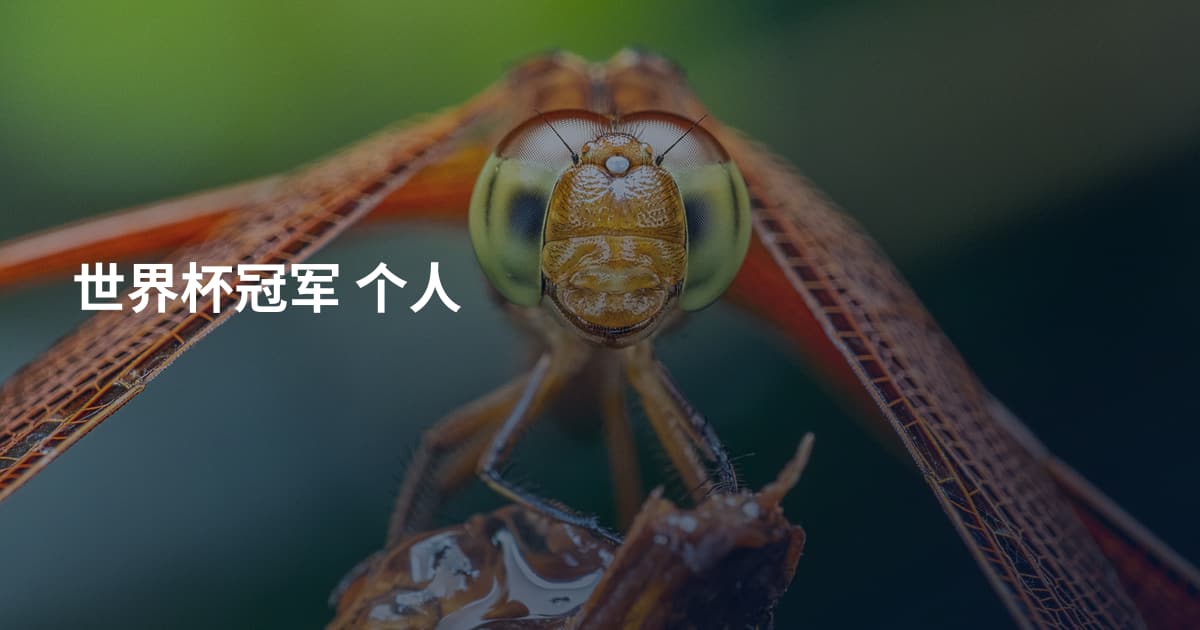 世界杯冠军 个人
