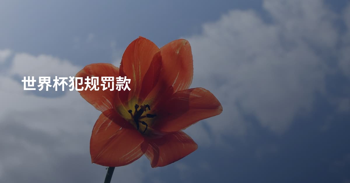 世界杯犯规罚款