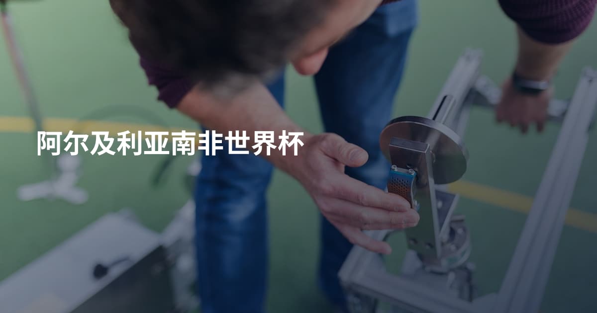 阿尔及利亚南非世界杯