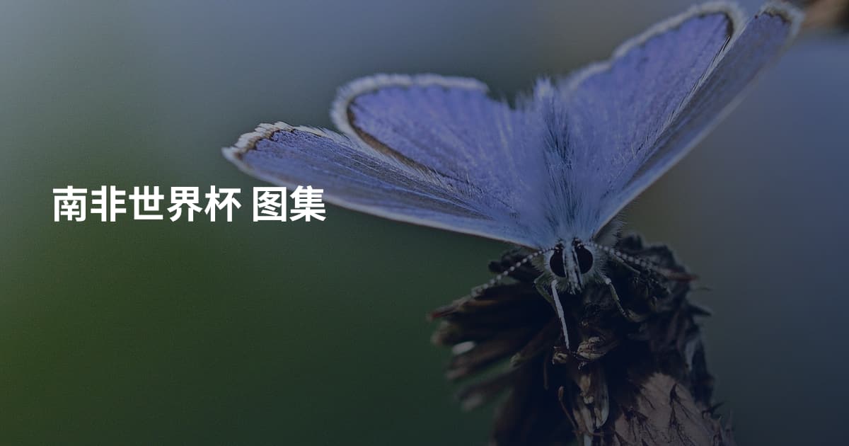 南非世界杯 图集