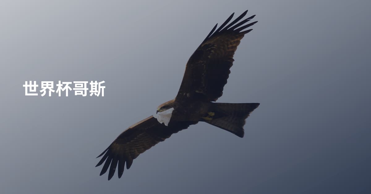 世界杯哥斯