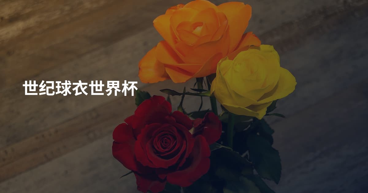 世纪球衣世界杯