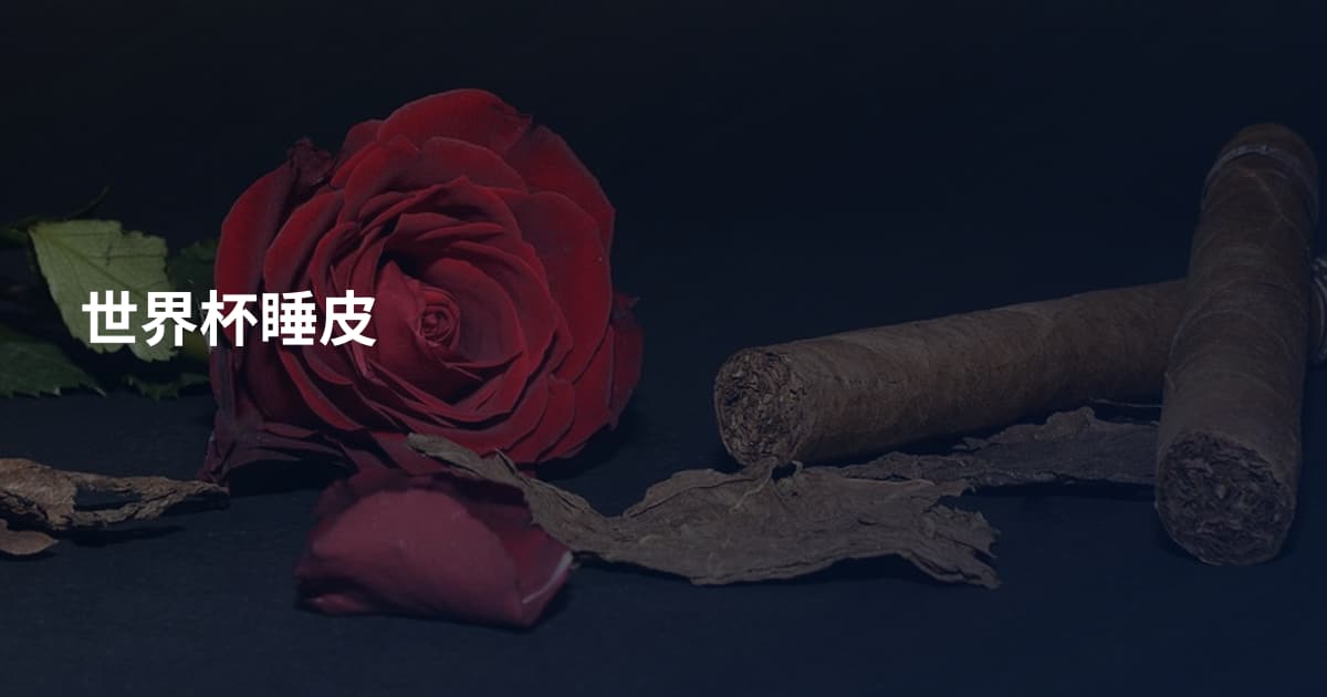 世界杯睡皮