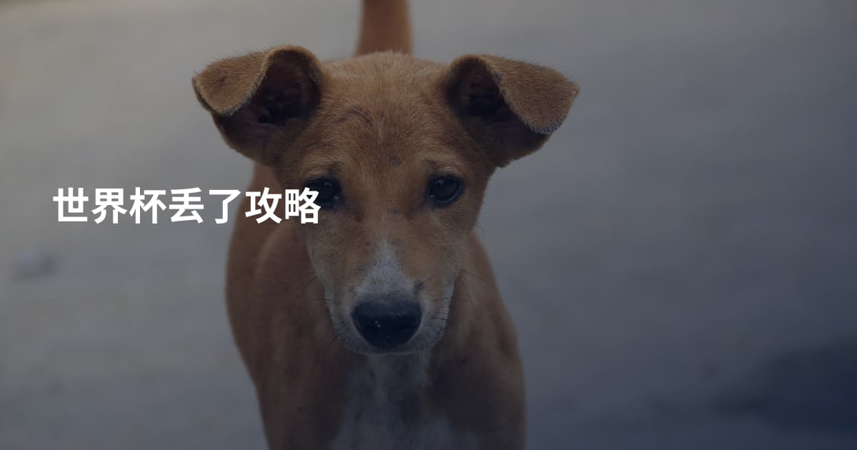 世界杯丢了攻略