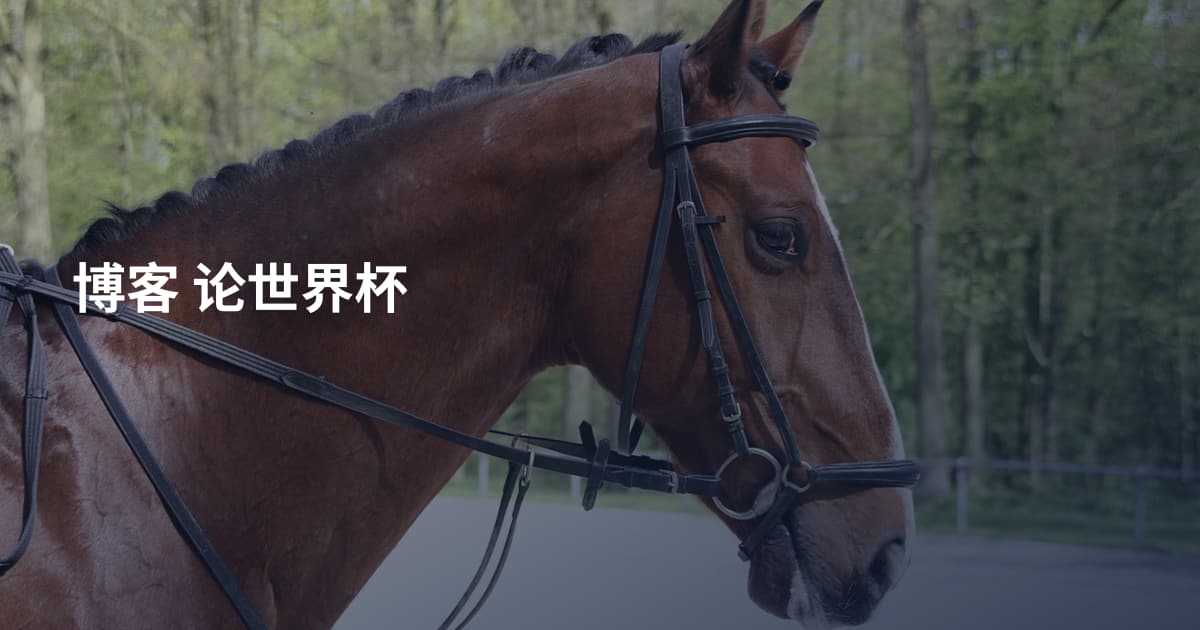 博客 论世界杯