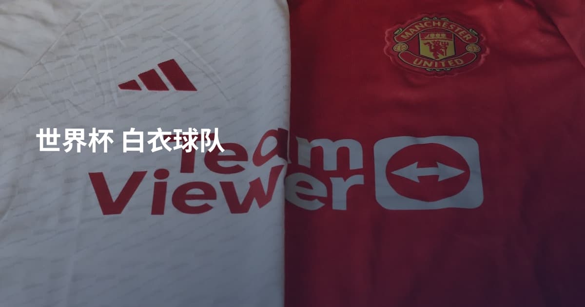 世界杯 白衣球队