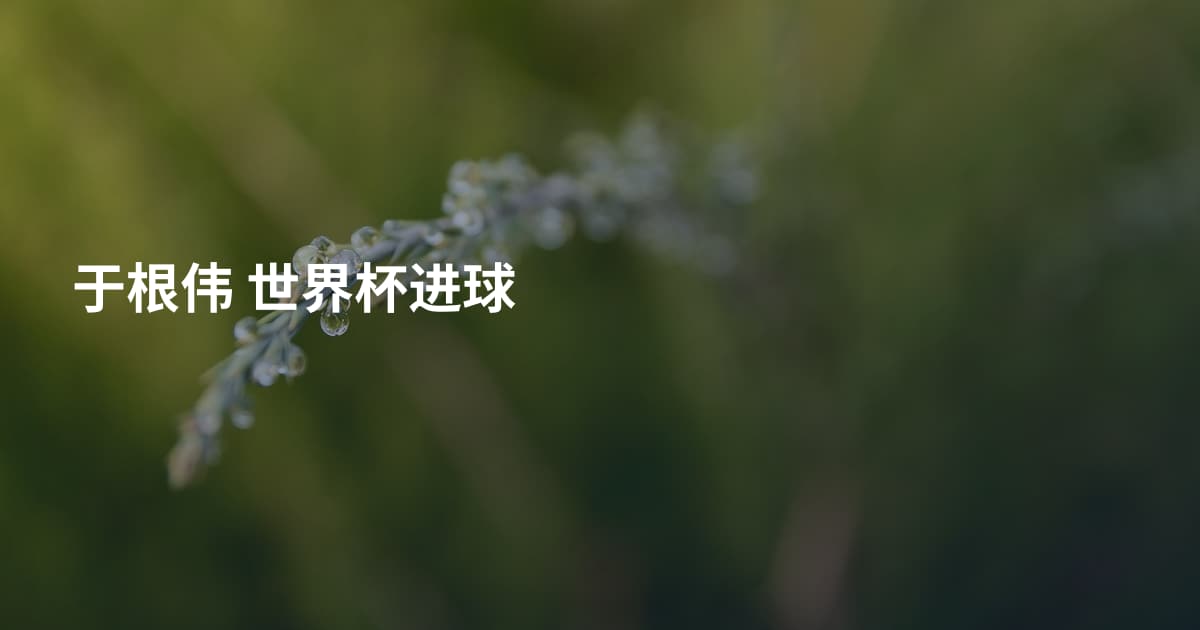 于根伟 世界杯进球