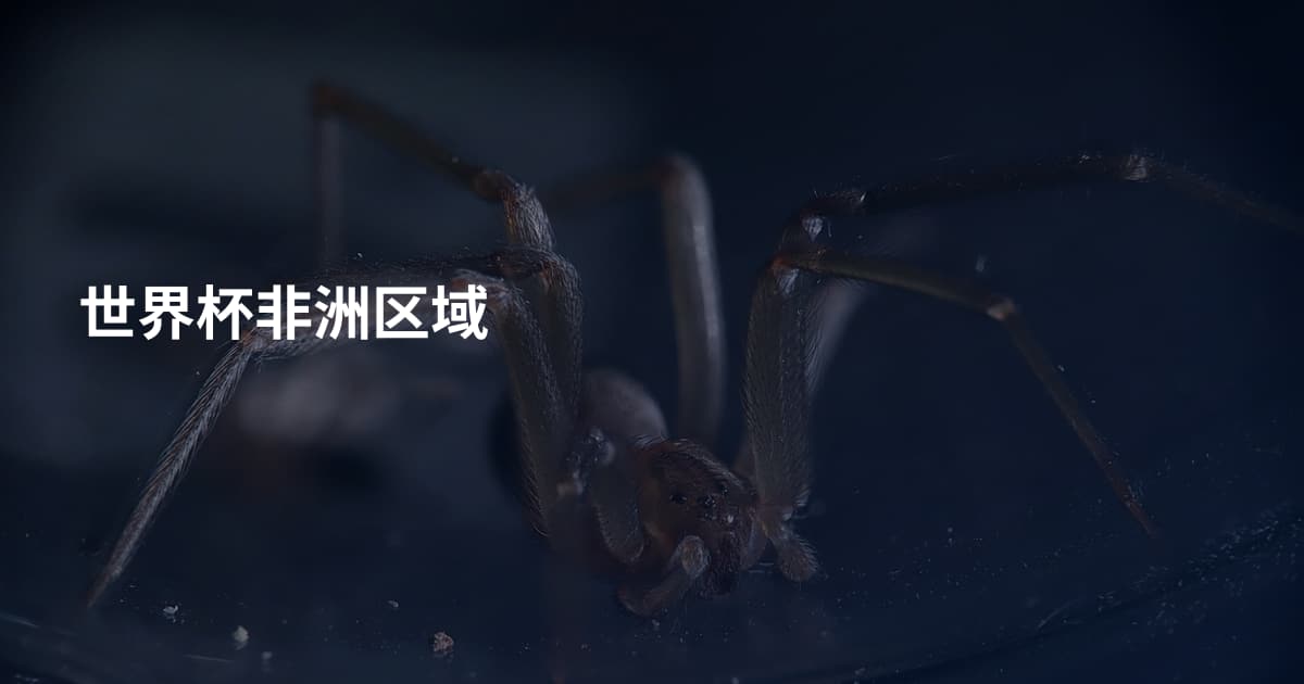 世界杯非洲区域