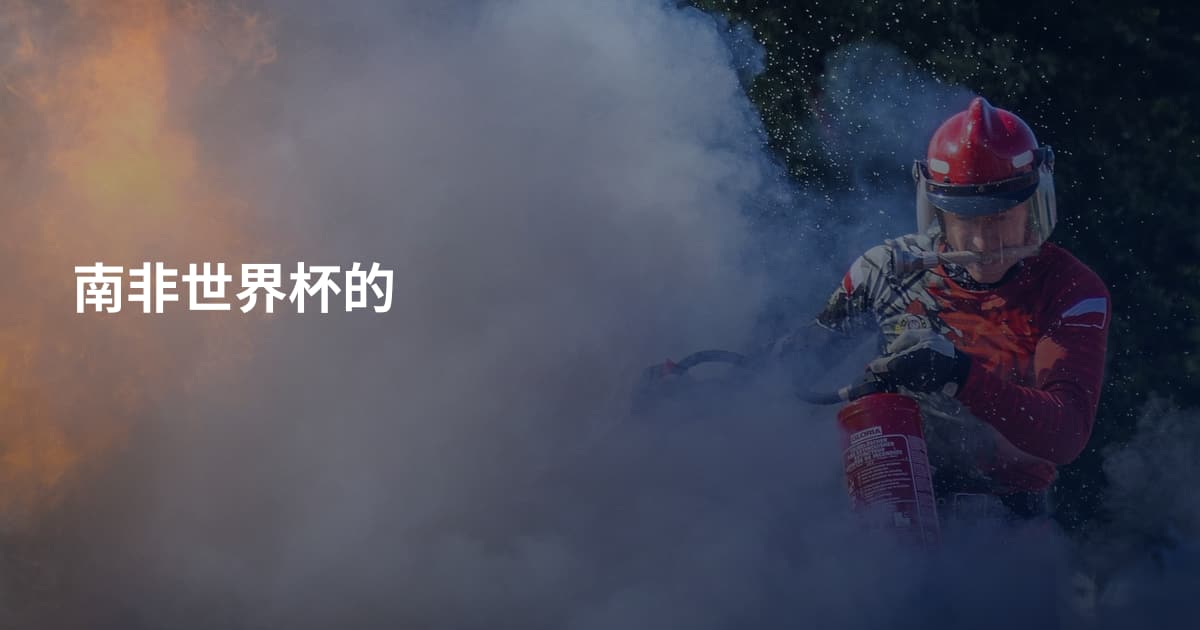 南非世界杯的