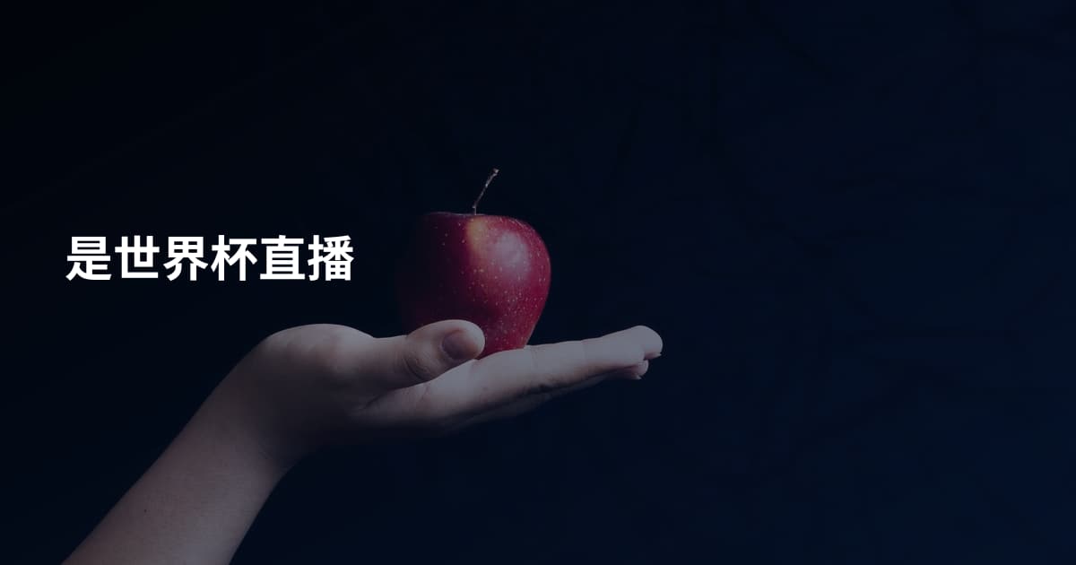 是世界杯直播