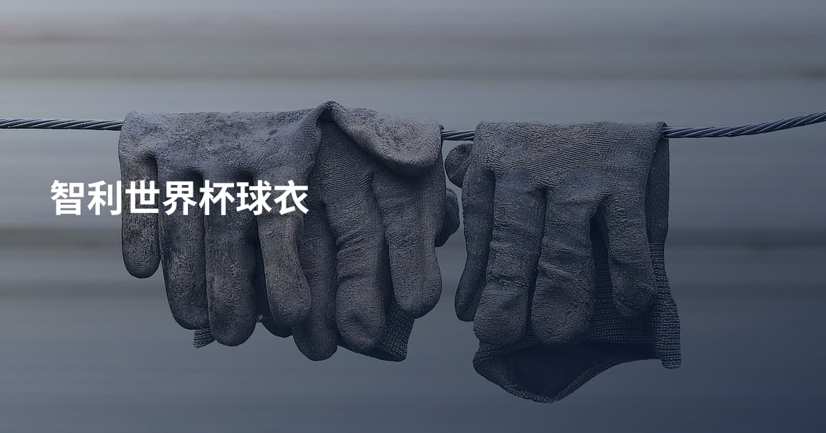 智利世界杯球衣