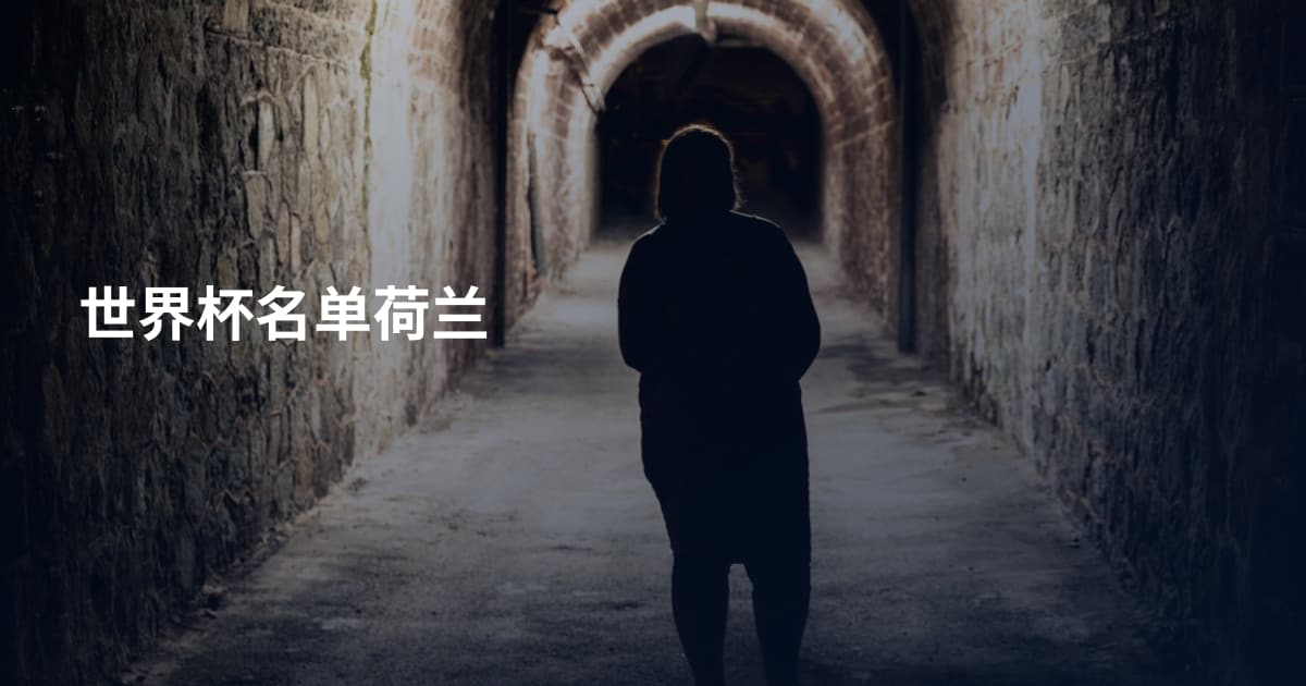 世界杯名单荷兰